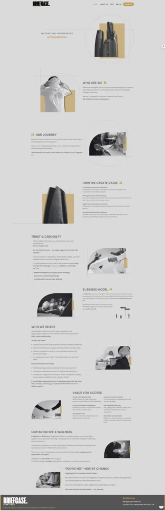 Briefcase-Strategies-06-23-2025_06_37_PM